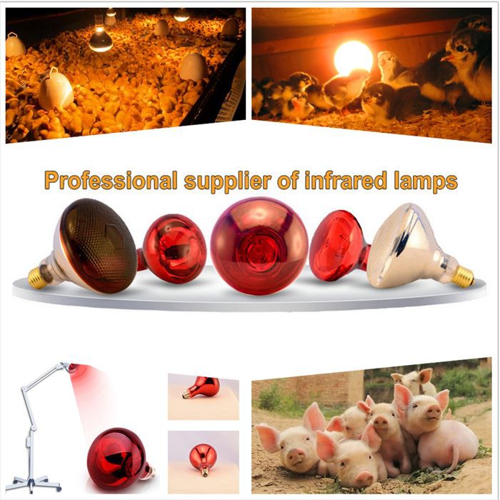 Applicable places for e27 heat lamp bulb Applicable places for e27 heat lamp bulb