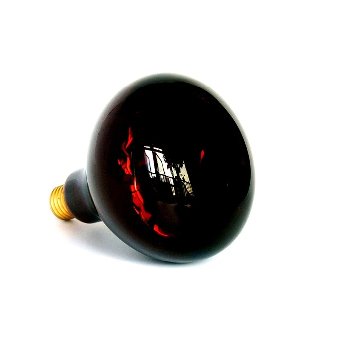 250 Watt Infrared Bulb