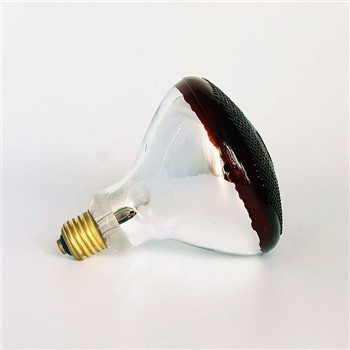 W pobliżu lampy na podczerwień